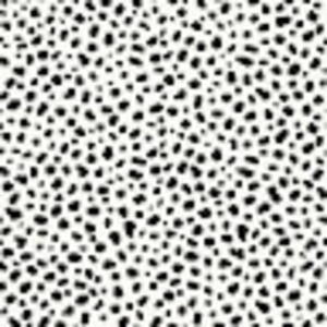 Meet your Posher, Maggie